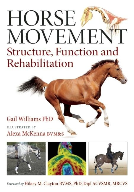 Horse Movement by Gail Williams (Hardback Book) - Image 2