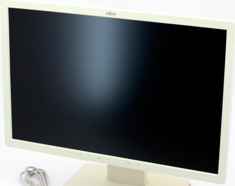Fujitsu Siemens Scenico L VKT266 D1289 AMD Athlon XP Computer PC Windows 98