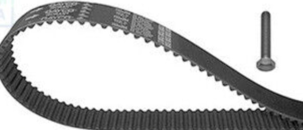 Timing Belt Kit + Water Pump KTBWP4920 DAYCO for PEUGEOT CITROËN FIAT