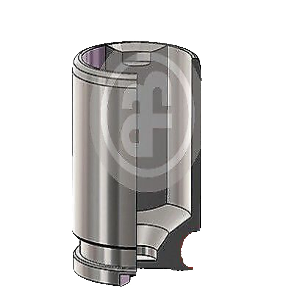 Rear AUTOFREN SEINSA D025541 Piston, brake caliper for ALFA ROMEO,CHEVROLET,FIAT