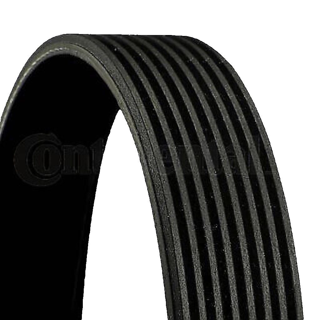 8PK1480 CONTINENTAL CTAM V-Ribbed Belt for MERCEDES-BENZ