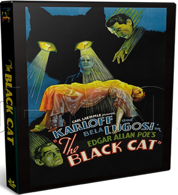 The Black Cat (1934) Boris Karloff, Bela Lugosi Crime, Horror Movie on DVD