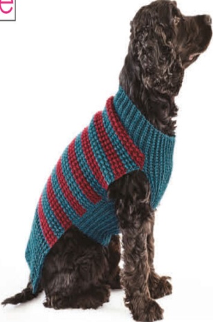 King Cole DK Crochet Pattern - 5760 Dog Coats