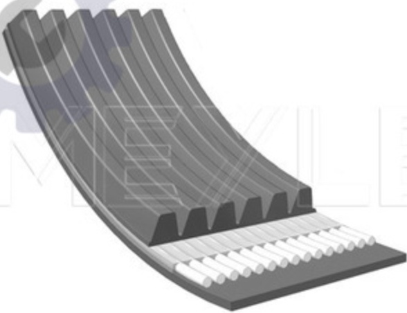 ✅Fits MEYLE 050 006 0831/E V-RIBBED BELT FORD Transit '00 (01/00-05/ ⭐UK Seller⭐
