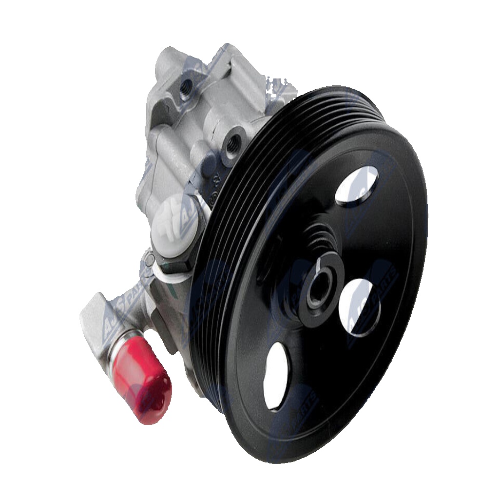 Power steering pump hydraulic with multi-belt pulley SPW-ME-014 NTY