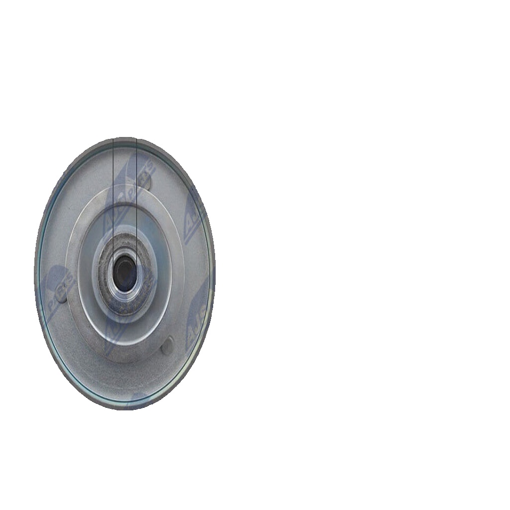 N.T.Y. RNK-VW-009.NTY Deflection/Guide Pulley, V-ribbed belt for SEAT,SKODA,VW