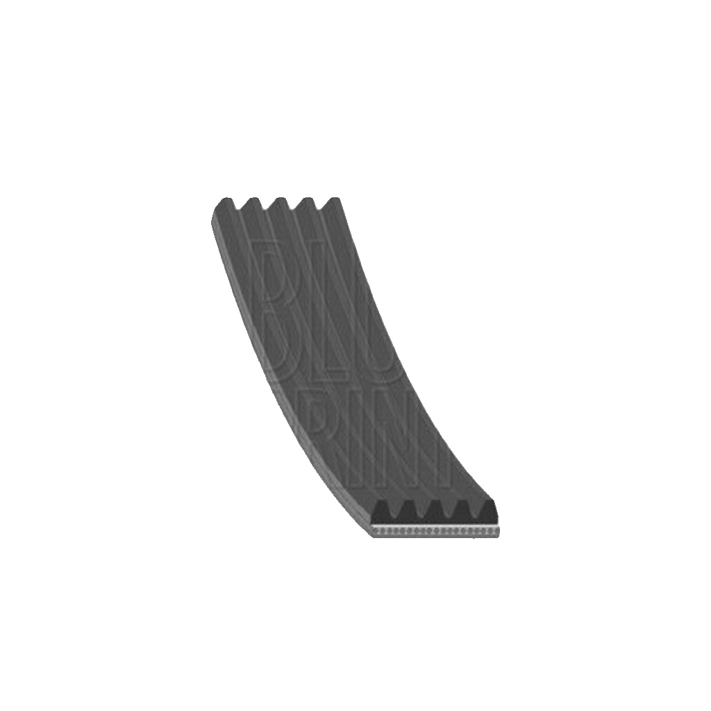 4x ✅Fits BLUEPRINT AD05R1732 MULTI-GROOVE BELT /   ⭐UK Seller⭐