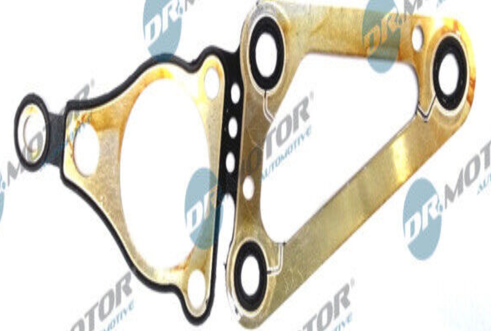 DRM0433 Dr.Motor Automotive Gasket, timing case cover for FORD