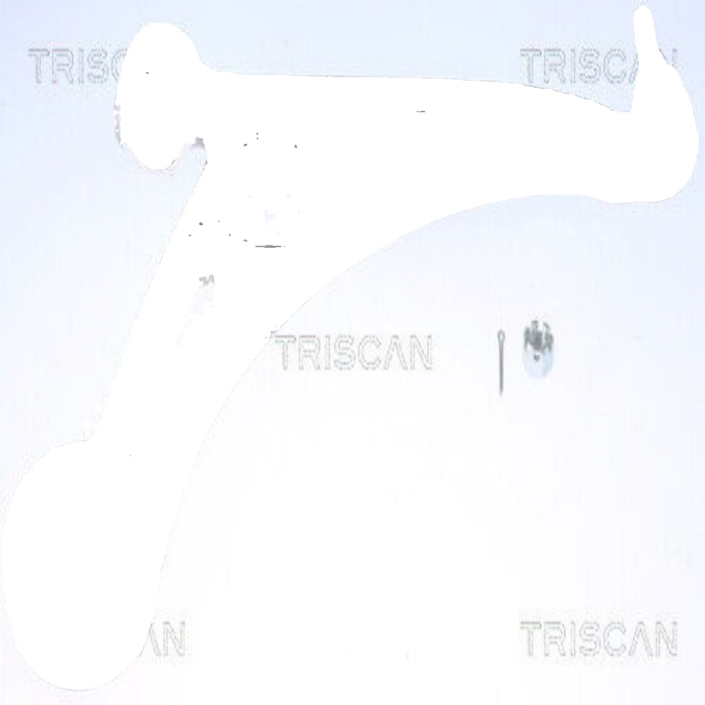 Outer TRISCAN 8500 435063 Track Control Arm for HYUNDAI,KIA