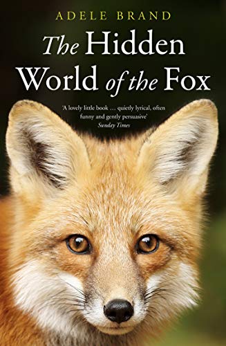 The Hidden World of the Fox by Adele Brand (Paperback, 2020) - Image 8