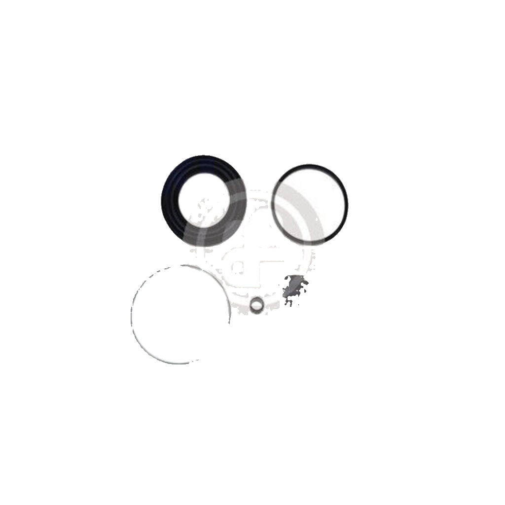 Front AUTOFREN SEINSA D41638 Repair Kit, brake caliper for LEXUS,TOYOTA