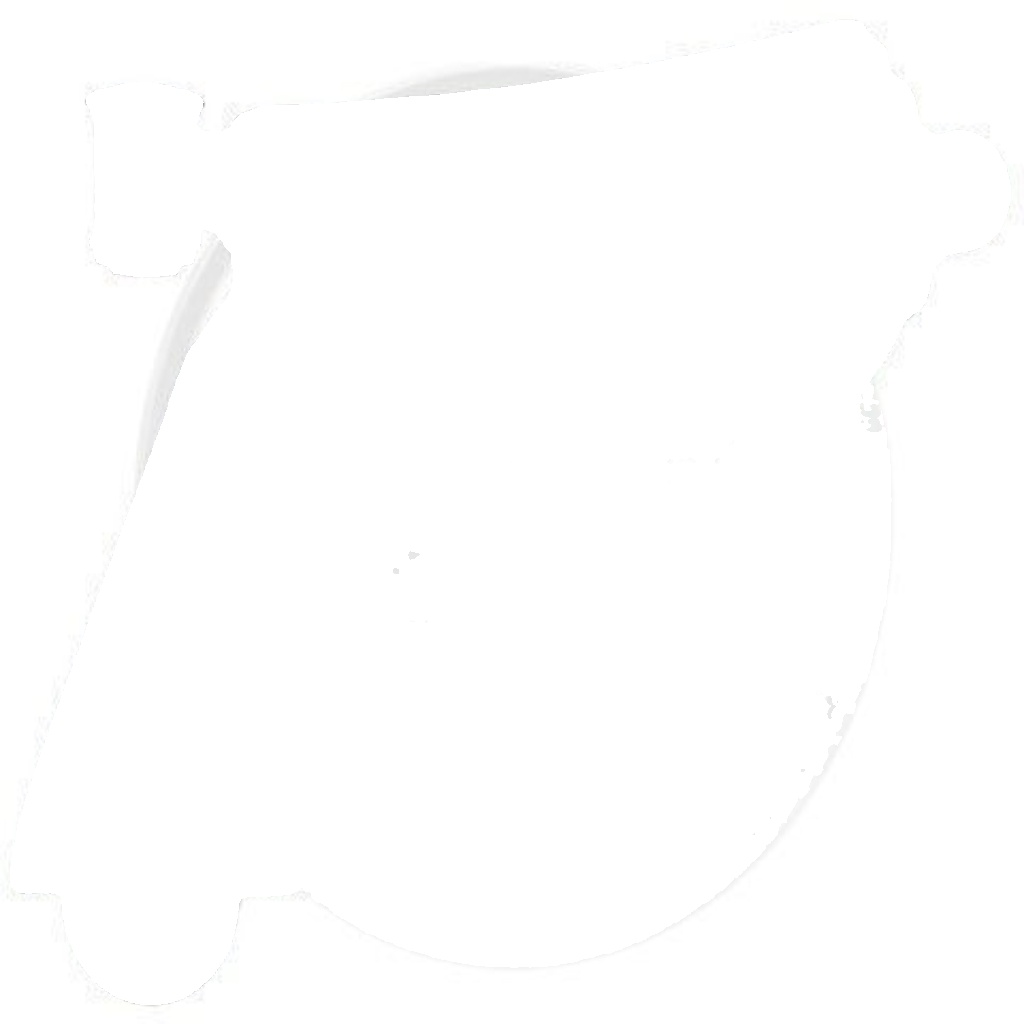 211711 A.B.S. Track Control Arm for FIAT
