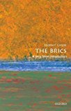 The BRICS by Andrew F. Cooper PAPERBACK 9780198723394 - Image 2