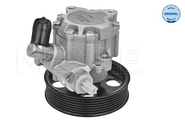 MEYLE 014 631 0032 Steering Hydraulic Pump Fits Mercedes-Benz C-Class CLS