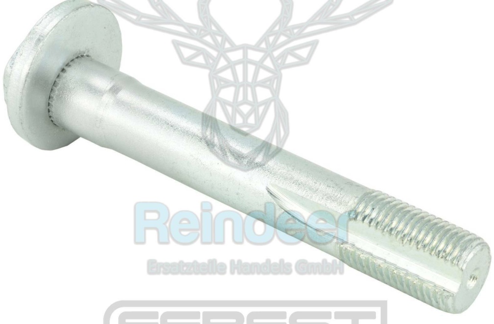 FEBEST-OE 1929-003.OE Camber Correction Screw for BMW