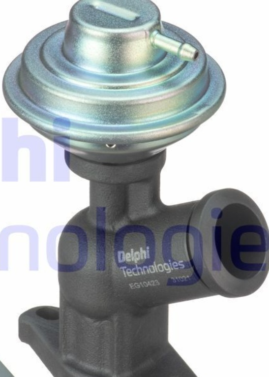 DELPHI-OE EG10423-12B1 EGR Valve for CITROËN,FIAT,LANCIA,PEUGEOT