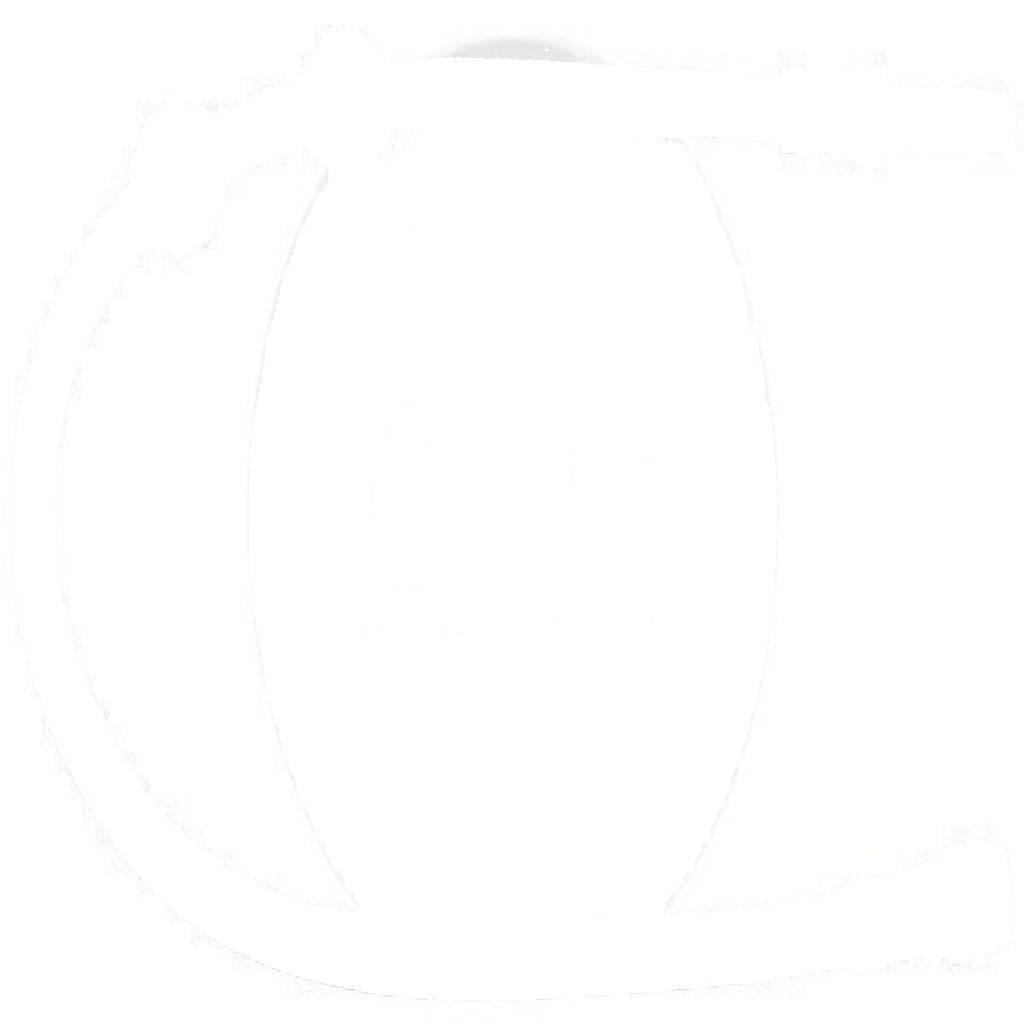 SL 1194 A.B.S. Brake Hose for MERCEDES-BENZ