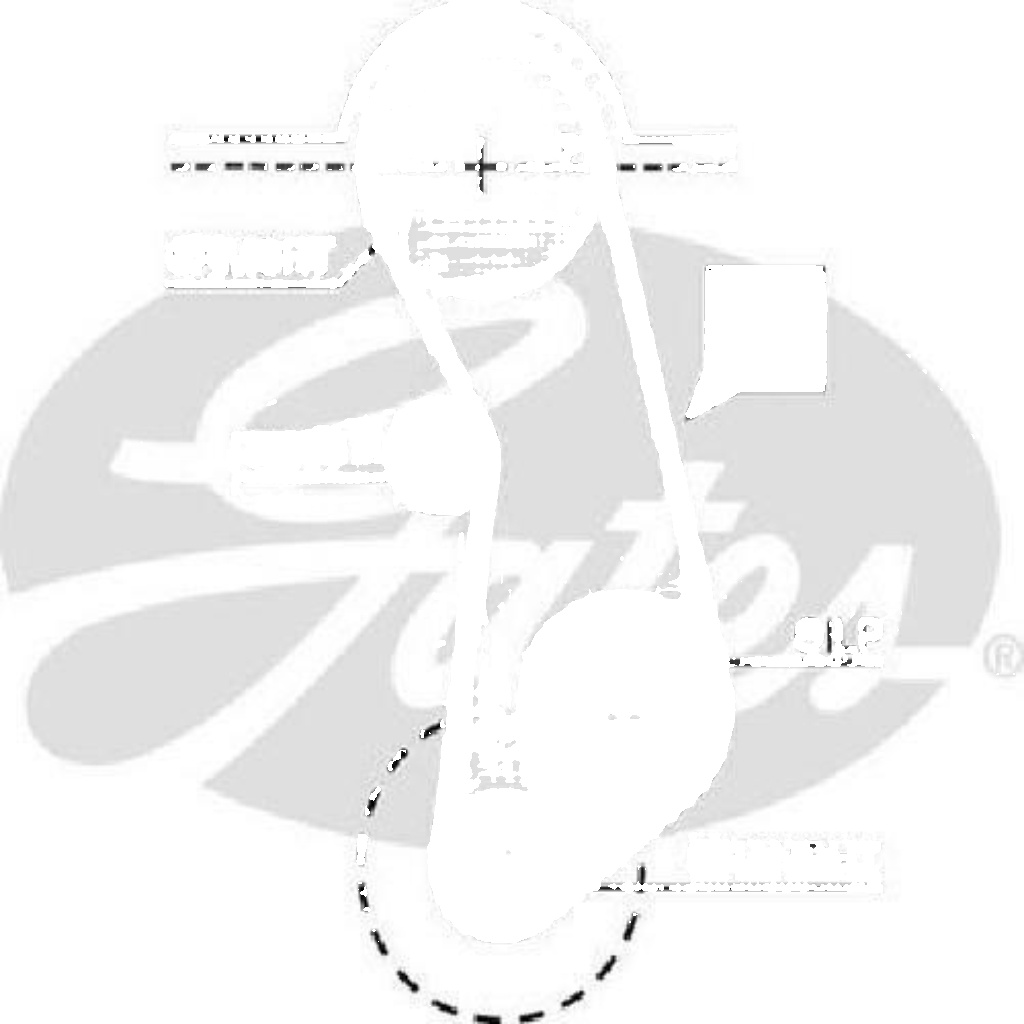 Gates 5016 Timing Belt Replacement Service Maintenance Fits Audi Porsche Seat VW