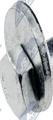ZWT-FR-000S NTY Camber Correction Screw for FORD,VOLVO