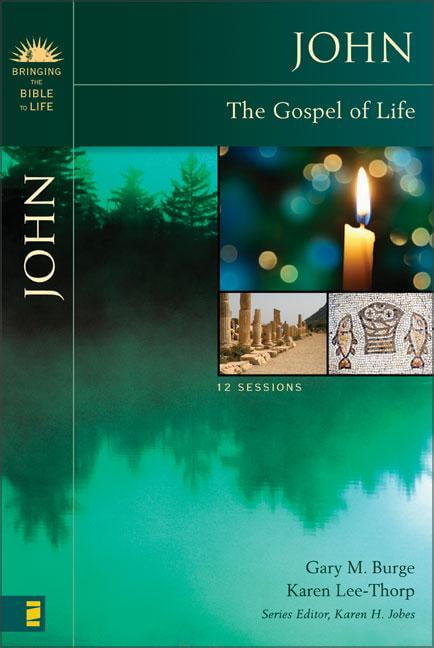 John by Gary M. Burge, Karen Lee-Thorp, Karen H. Jobes - 9780310276517