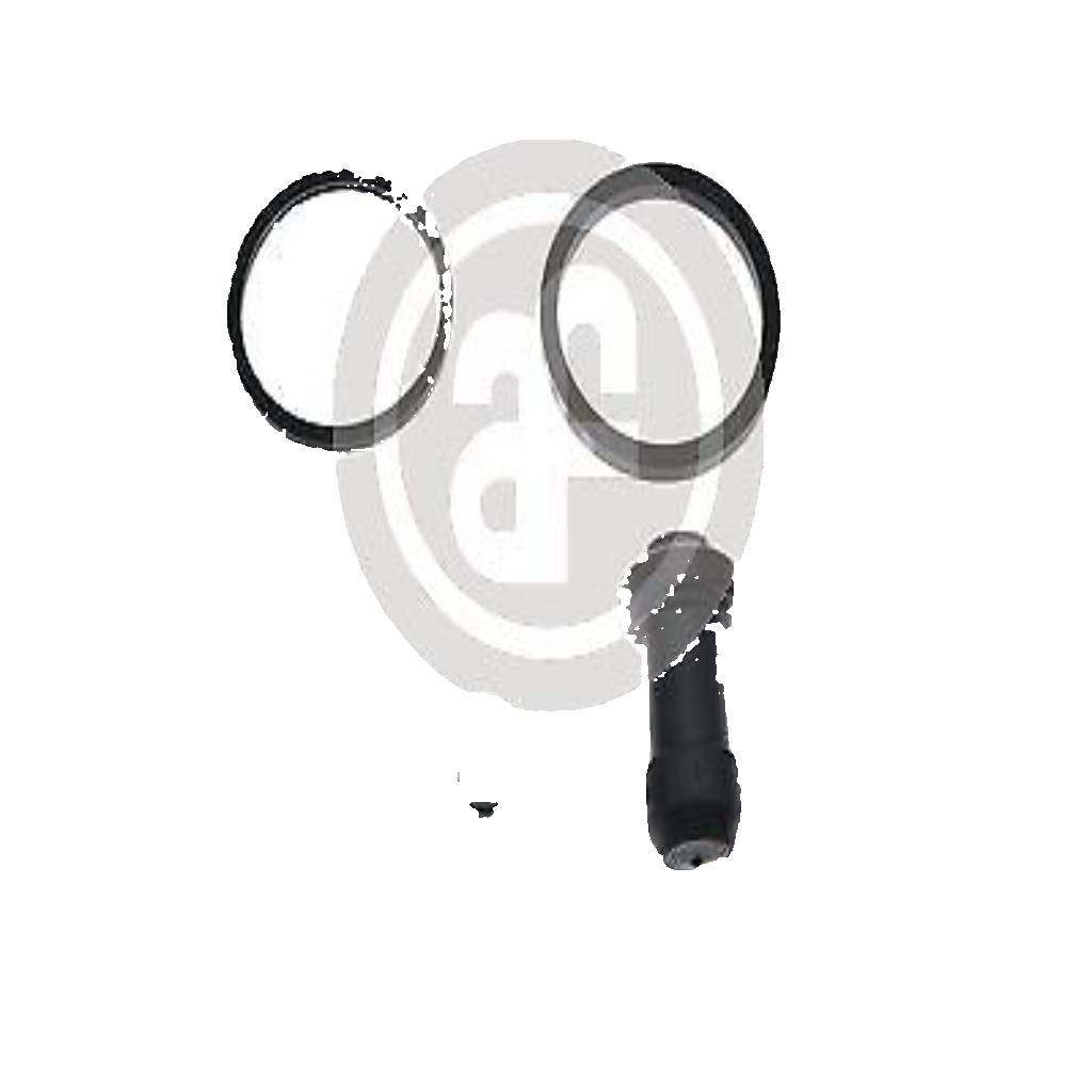 Brake caliper repair kit Front Axle D43050 AUTOFREN SEINSA for RENAULT TWIZY