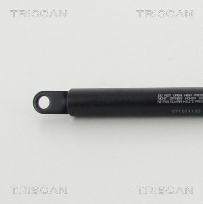 TRISCAN 871011103 Gasfeder für Motorhaube für BMW - Bild 2