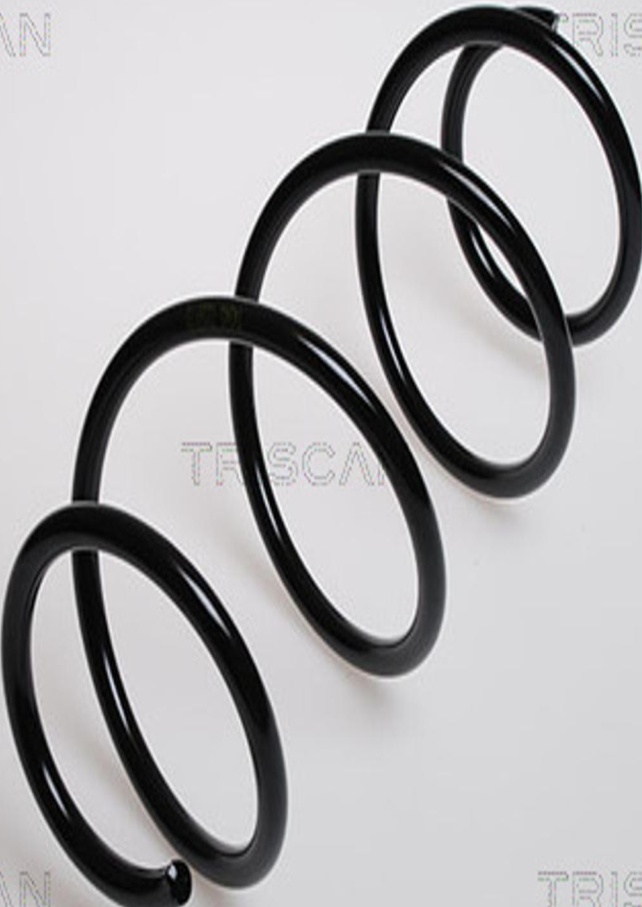 Front LESJÖFORS 4072935 Suspension Spring for RENAULT