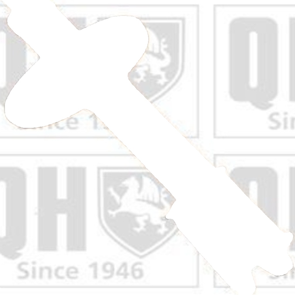 QH Front Pair of Shock Absorbers for Renault Clio 1990-1998