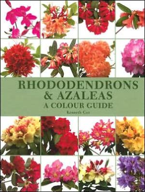 Rhododendrons and Azaleas - A Colour Guide by Kenneth Cox - 9781861267849