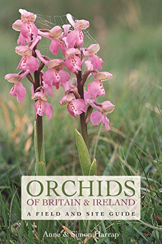 Orchids of Britain and Ireland by Anne Harrap, Simon Harrap - 9781472965844
