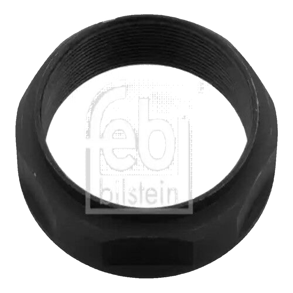 FEBI BILSTEIN NUT, KINGPIN REAR MERCEDES-BENZ ATEGO ATEGO 2 TOURINO (O 510)