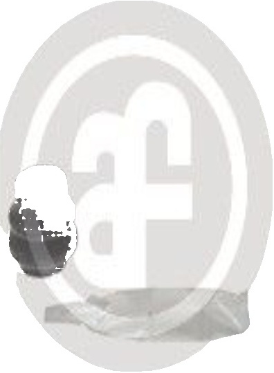 Front AUTOFREN SEINSA D7457 Bellow, brake caliper guide for LEXUS,MAZDA,TOYOTA