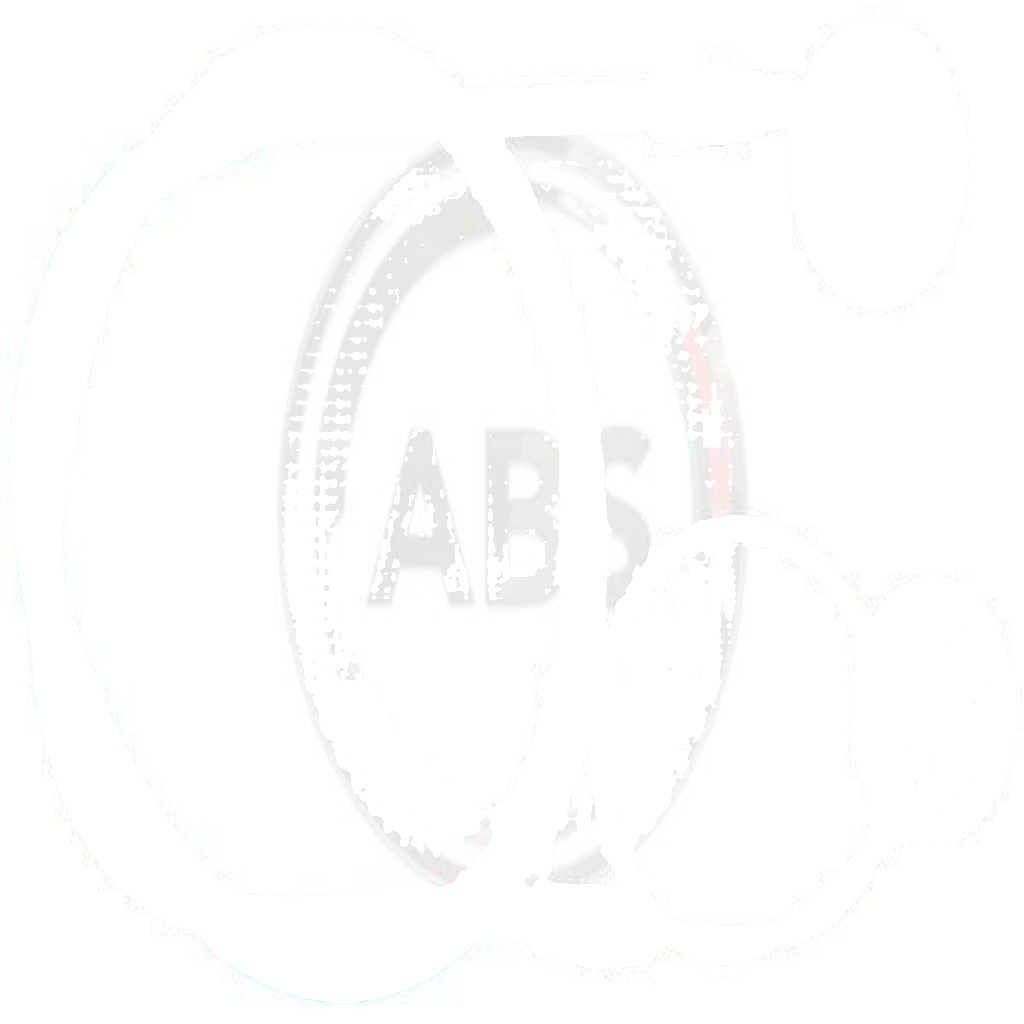 K17591 A.B.S. Cable, parking brake for ,OPEL,RENAULT,VAUXHALL