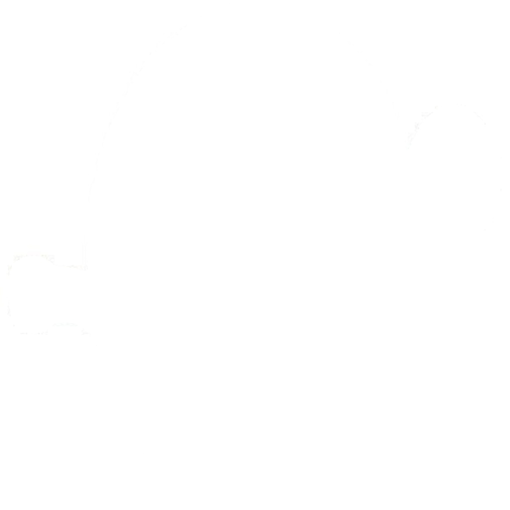 Wishbone Trailing Arm 210725 A.B.S. for BMW X5