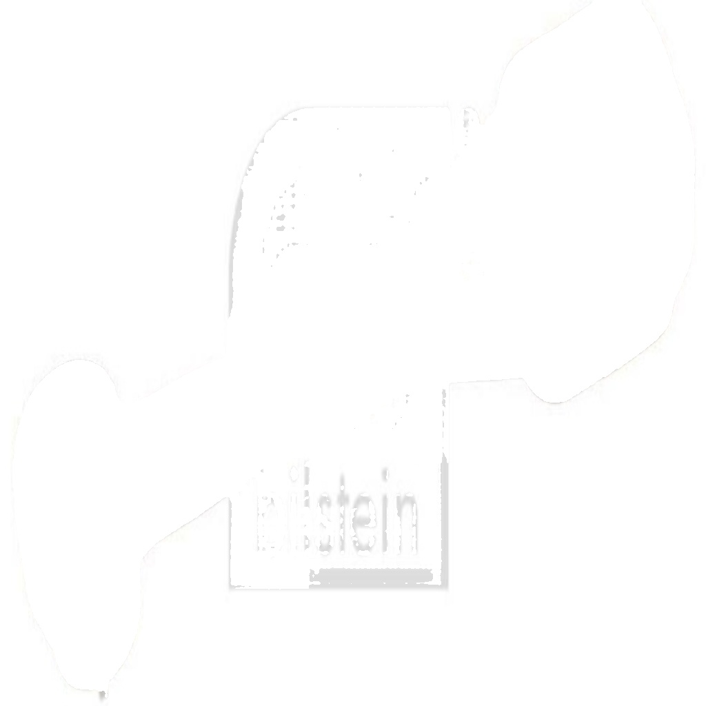 FEBI BILSTEIN MOUNTING, MANUAL TRANSMISSION REAR RENAULT CLIO MEGANE