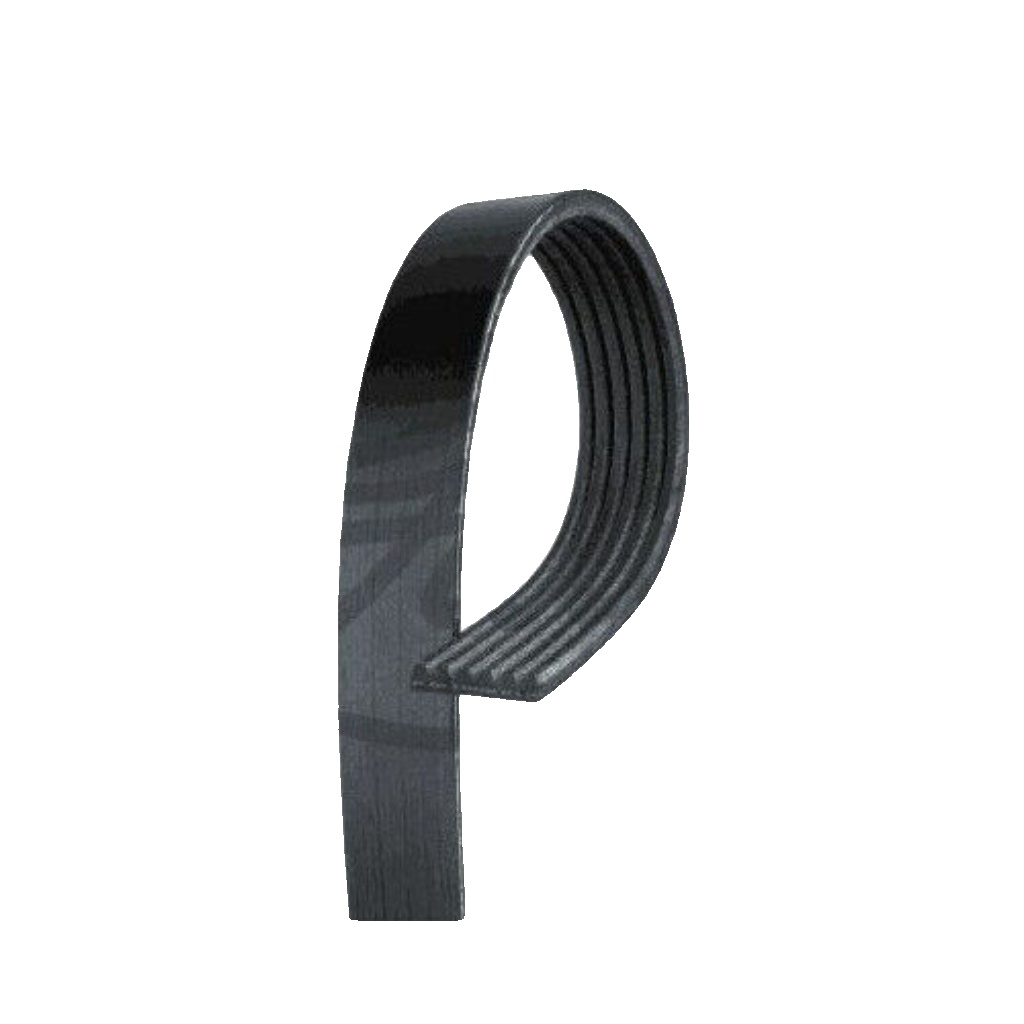 VRIBBED BELT 6PK1503 FOR FORD AUSTRALIA M1JE 1.0L 3cyl FIESTA Hatchback 1.0L - Image 23