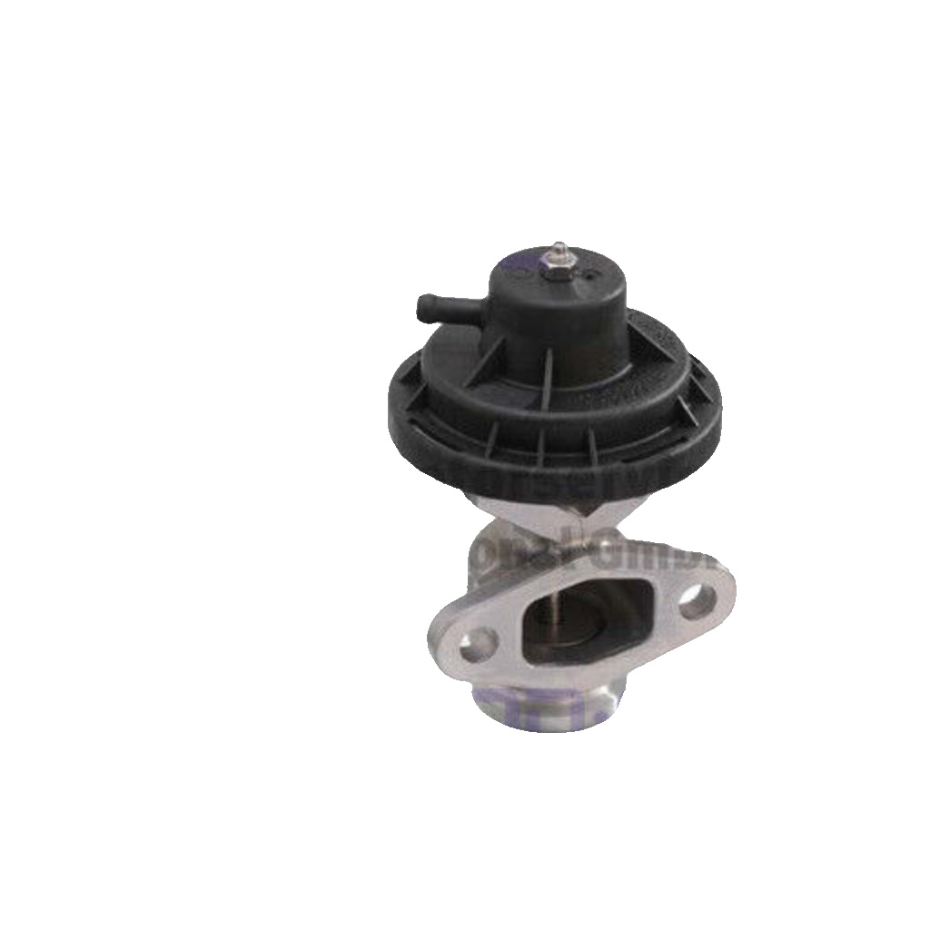 PIERBURG-OE 7.22477.10.0-OE EGR Valve for SEAT,SKODA,VW