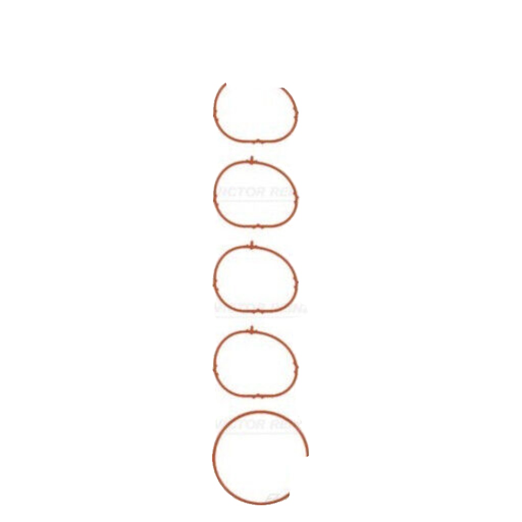 Fits REINZ USZCZELKI 11-38834-01 GASKET SET, INTAKE MANIFOLD  ⭐UK Stock⭐