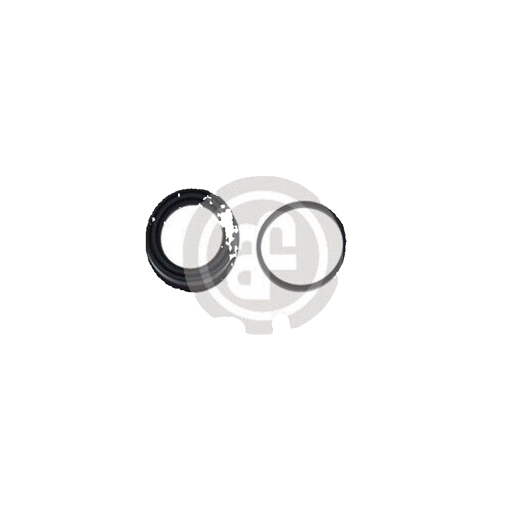 2x ✅Fits AUTOFREN SEINSA D4042 CALIPER REPAIR P MEGANE 48 MM HAM SYS ⭐UK Seller⭐