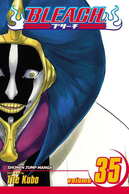 Bleach, Vol. 35 Volume 35