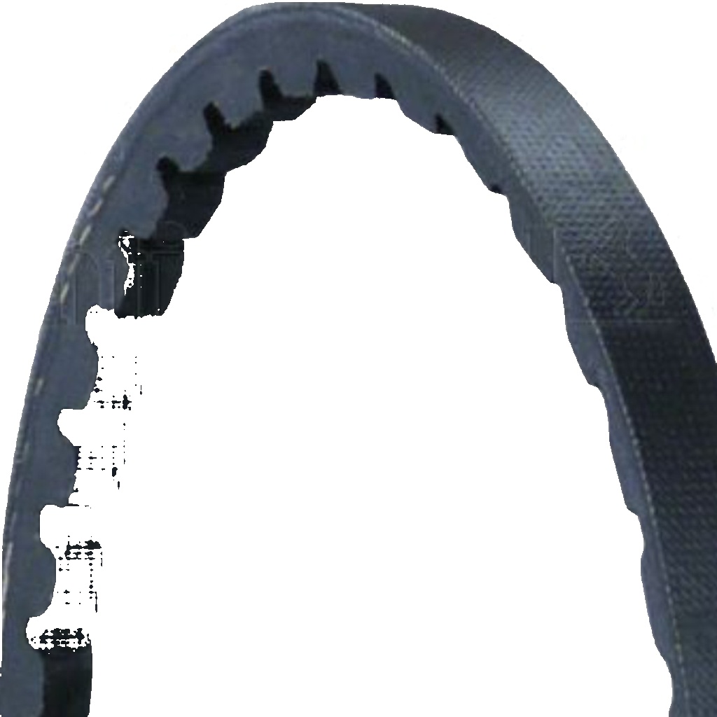 AVX10X1005 CONTINENTAL CTAM V-Belt for FORD,MERCEDES-BENZ,VOLVO