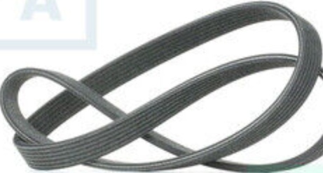 DAYCO 6DPK1215 V-Ribbed Belt for SEAT,VW