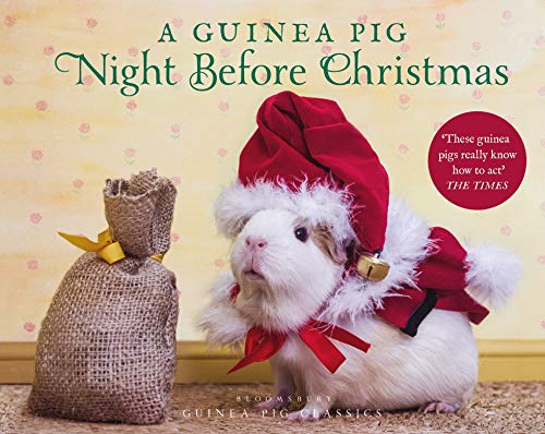 A Guinea Pig Night Before Christmas Clement Clarke Moore Hardback Classics - Image 5
