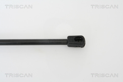 TRISCAN Gasfeder, Koffer-/Laderaum 8710 29254 für VW - Bild 2