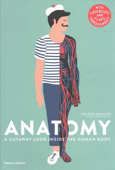 Anatomy