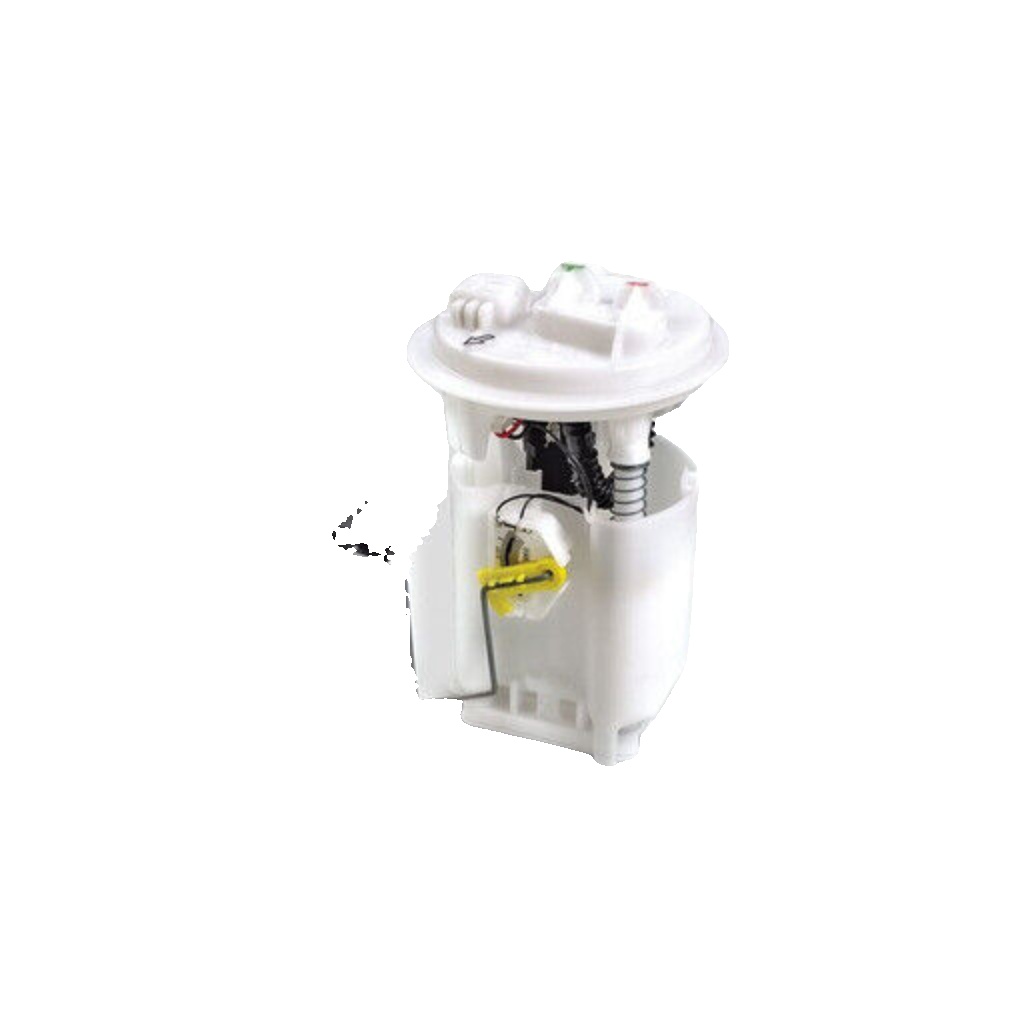 Fits DELPHI FG0977-12B1 FUEL PUMP MODULE   ⭐UK Stock⭐