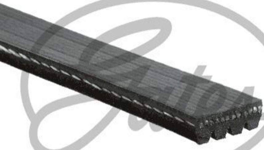 Gates 4Pk1440 V-Ribbed Belt Size 4