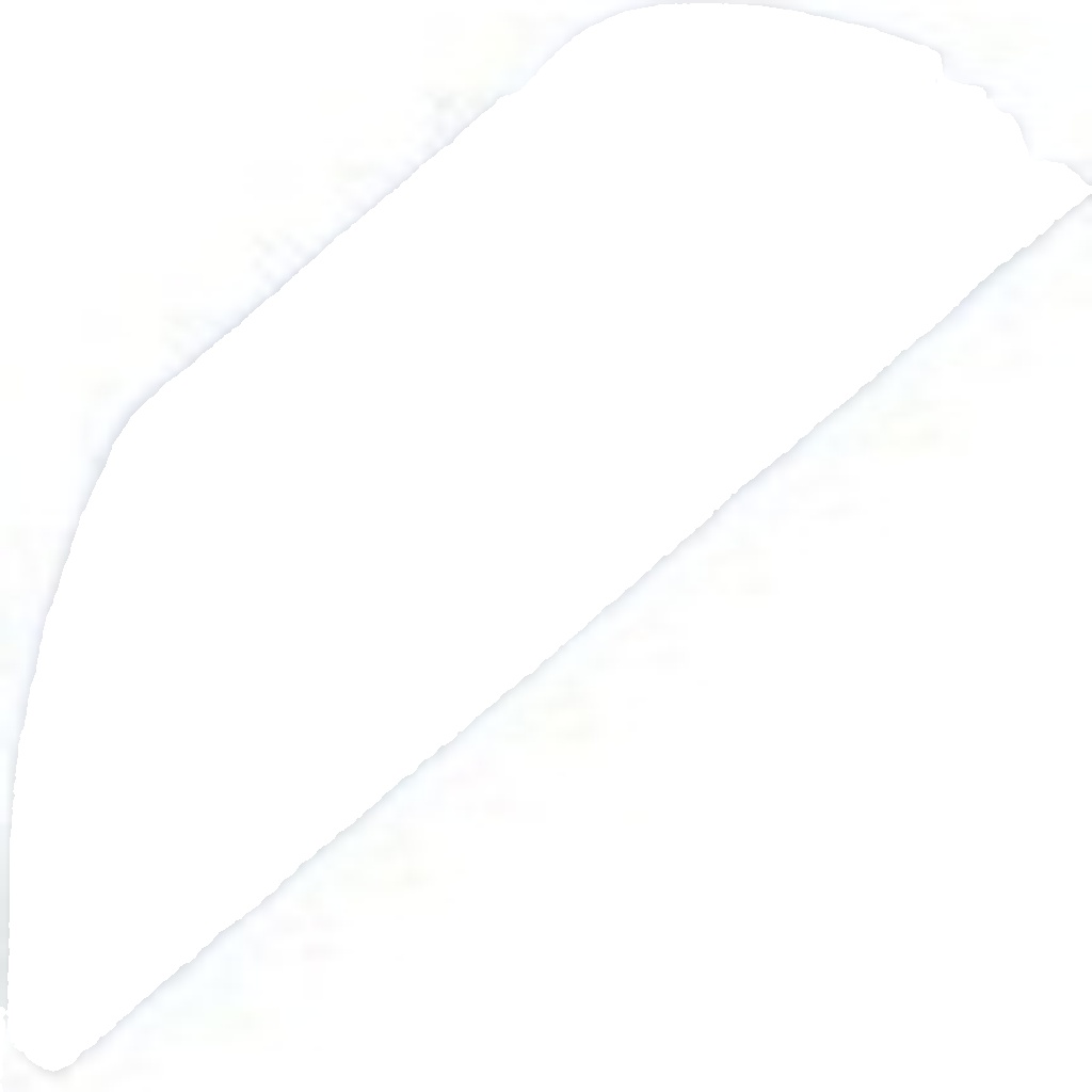 N.T.Y. GPP-VW-009.NTY Hose, crankcase breather for AUDI,SEAT,SKODA,VW