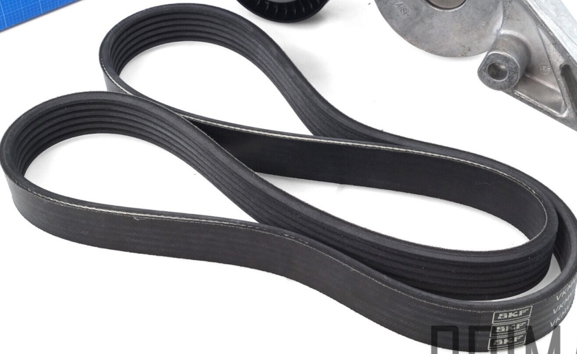 V-Ribbed Belt Set SKF VKMA 31054 Fits Audi Seat Skoda VW A3 Altea Altea XL