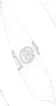 ✅Fits LESJOFORS 4259247 COIL SPRINGS  ⭐UK Seller⭐